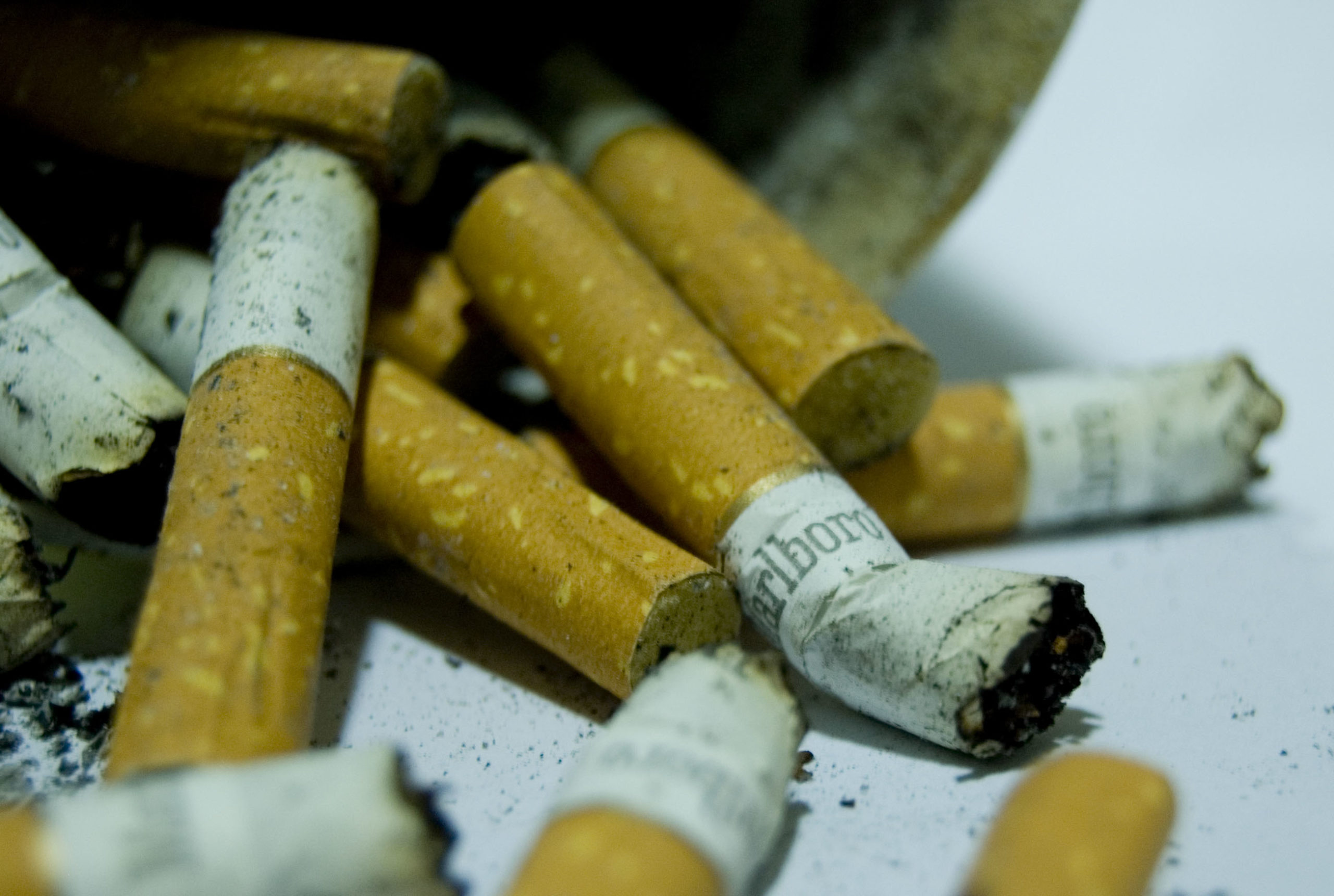 tui on board duty free tobacco price 2024 Inflight Shop and Café tui on board duty free tobacco price 2024 Inflight Shop and Café