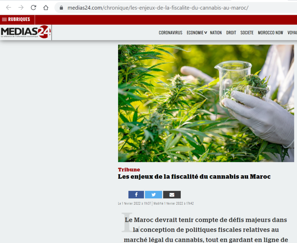 Morocco-Media-Cannabis