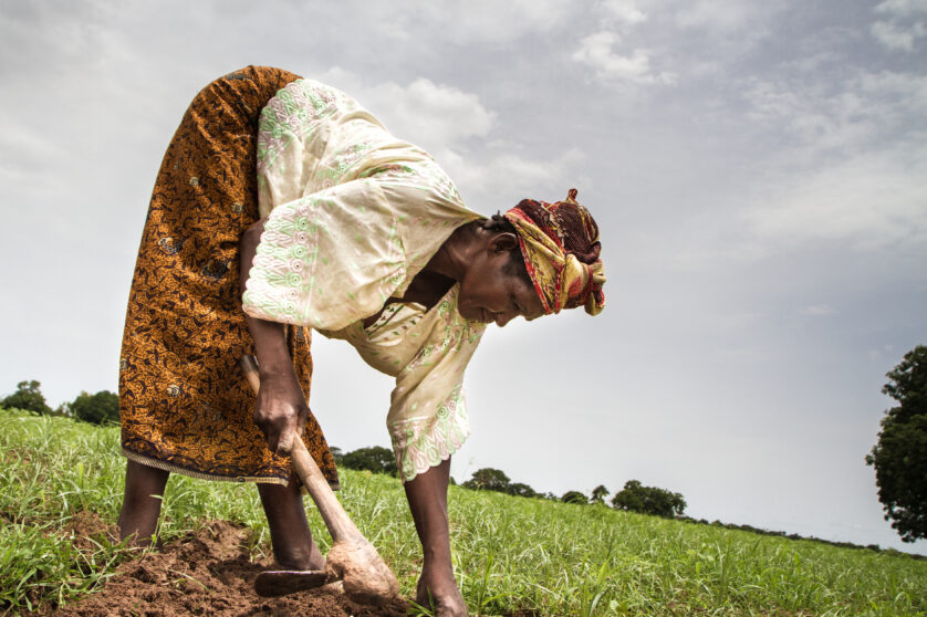 A black woman in modest clothing is bending down towards the ground with a gardening tool in her hand to tend the soil covered in grass.