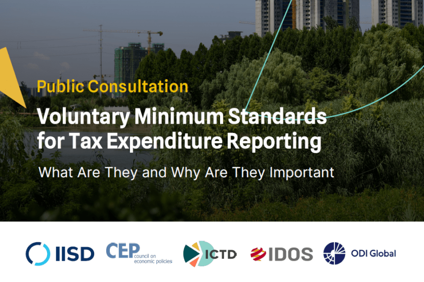 Public consultation on voluntary minimum standards for tax expenditure reporting with a city skyline and trees in the background.